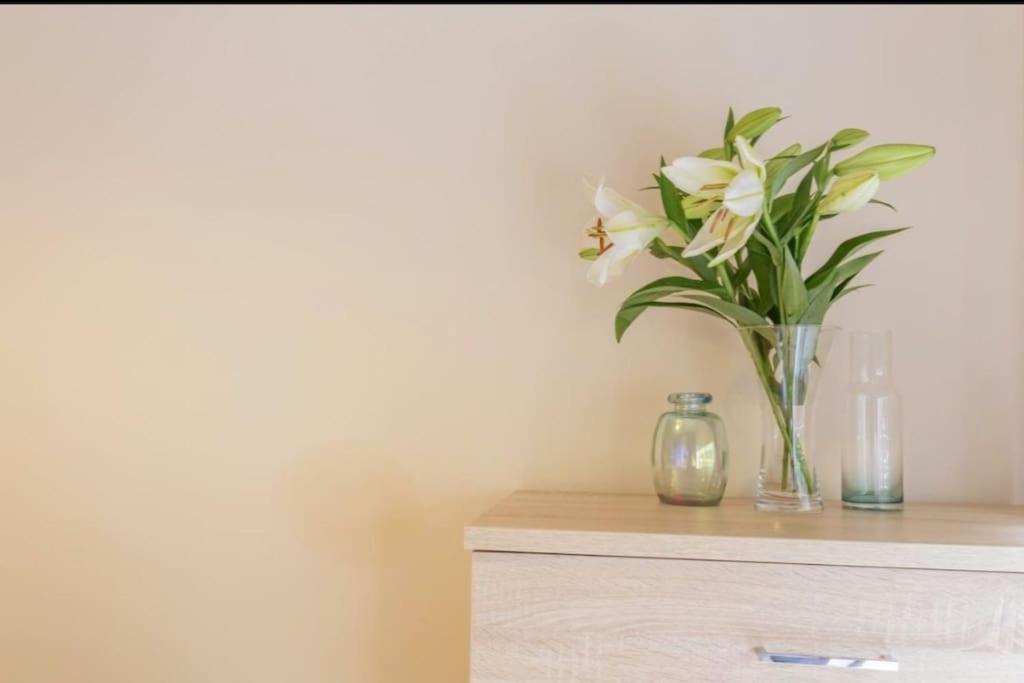 The Kensington Apartment, Free Carpark, Ideal Location For Exploring & Nearby Places, Easy Access To Ring Road Mini Plant, Universities & Science Parks Oxford